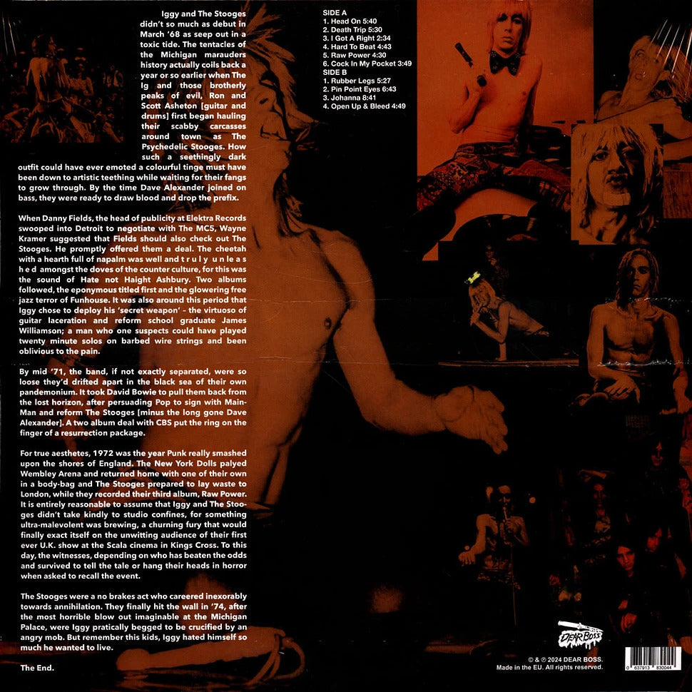 STOOGES – Keep Me Safe, Keep Me Sane • Rare Tracks 1972 LP