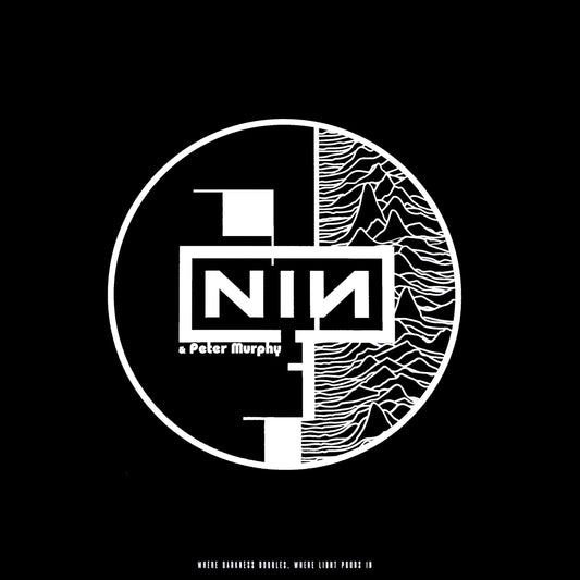 NINE INCH NAILS / PETER MURPHY – Where Darkness Doubles, Where Light Pours In LP