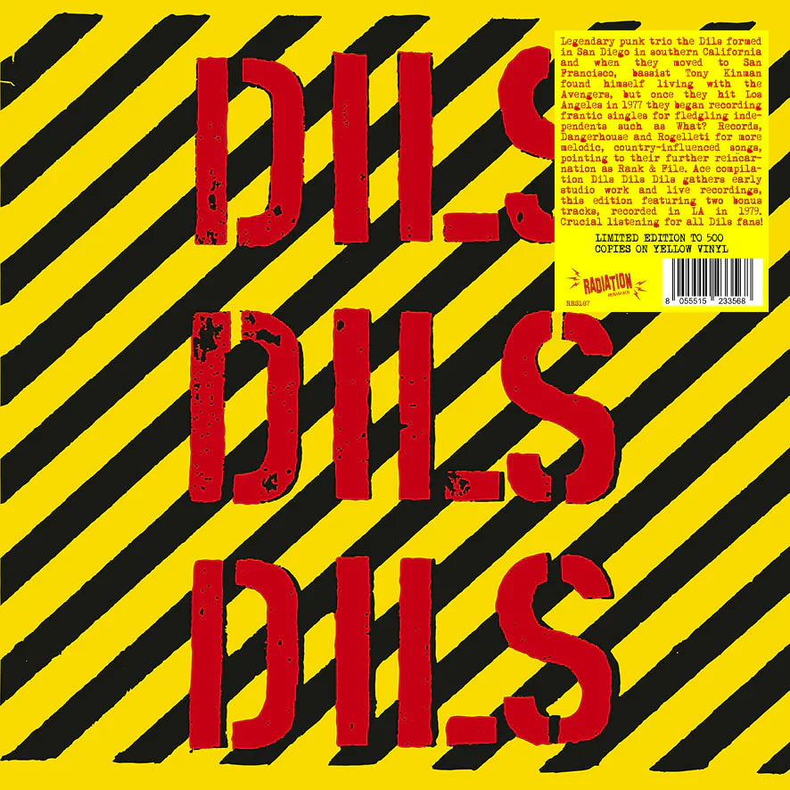 DILS – Dils Dils Dils LP