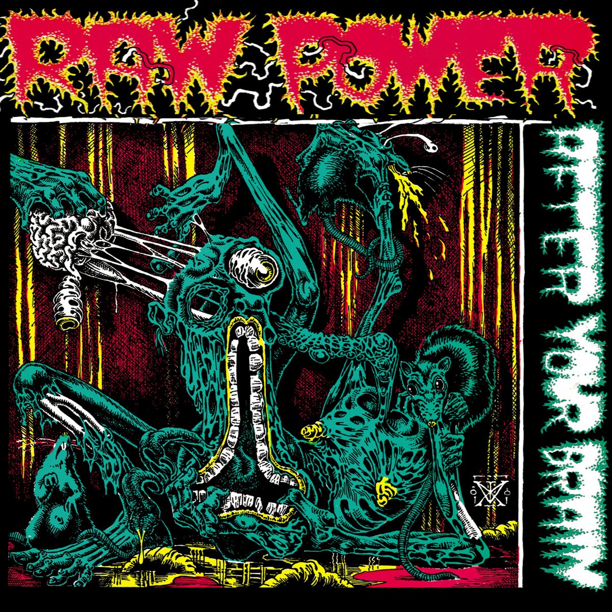 RAW POWER – After Your Brain LP