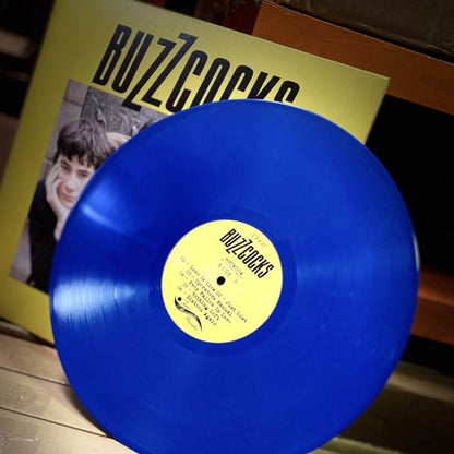 BUZZCOCKS – Nostalgia • Love Bites Demos 1978 LP