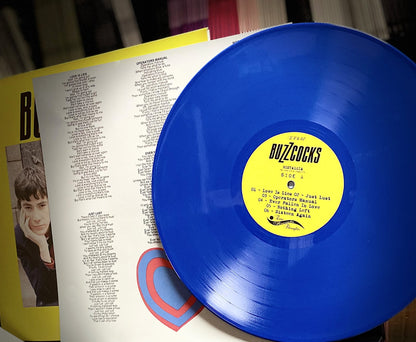 BUZZCOCKS – Nostalgia • Love Bites Demos 1978 LP